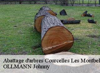 Abattage d'arbres  courcelles-les-montbeliard-25420 OLLMANN Johnny 