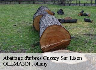 Abattage d'arbres  cussey-sur-lison-25440 OLLMANN Johnny 