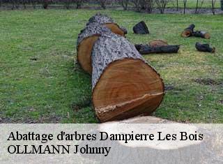 Abattage d'arbres  dampierre-les-bois-25490 OLLMANN Johnny 