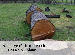 Abattage d'arbres les-gras-25790 OLLMANN Johnny