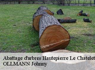 Abattage d'arbres  hautepierre-le-chatelet-25580 OLLMANN Johnny 