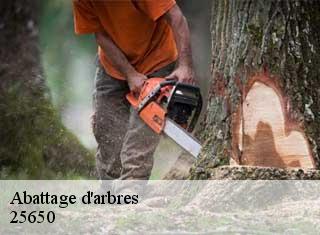 Abattage d'arbres 25650