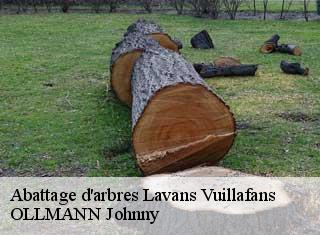 Abattage d'arbres  lavans-vuillafans-25580 OLLMANN Johnny 