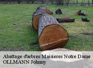 Abattage d'arbres maisieres-notre-dame-25290 OLLMANN Johnny