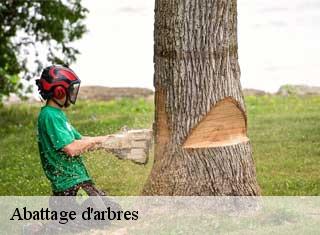 Abattage d'arbres