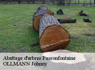 Abattage d'arbres  passonfontaine-25690 OLLMANN Johnny 