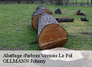 Abattage d'arbres  vernois-le-fol-25190 OLLMANN Johnny 