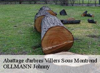 Abattage d'arbres  villers-sous-montrond-25620 OLLMANN Johnny 