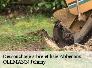 Dessouchage arbre et haie  abbenans-25340 OLLMANN Johnny 