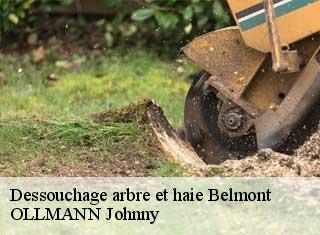 Dessouchage arbre et haie  belmont-25530 OLLMANN Johnny 