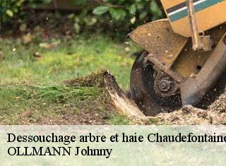 Dessouchage arbre et haie  chaudefontaine-25640 OLLMANN Johnny 