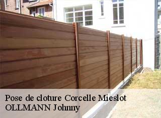 Pose de cloture  corcelle-mieslot-25640 OLLMANN Johnny 