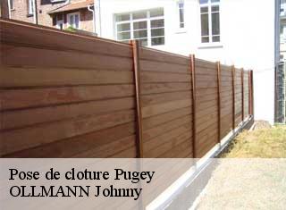 Pose de cloture  pugey-25720 OLLMANN Johnny 