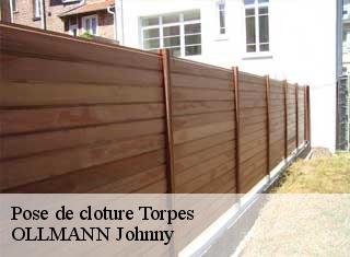 Pose de cloture torpes-25320 OLLMANN Johnny