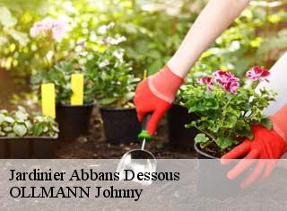 Jardinier  abbans-dessous-25320 OLLMANN Johnny 