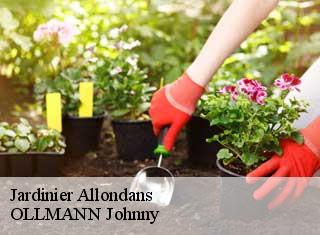 Jardinier  allondans-25550 OLLMANN Johnny 