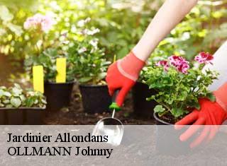 Jardinier allondans-25550 OLLMANN Johnny