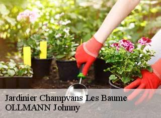 Jardinier  champvans-les-baume-25110 OLLMANN Johnny 