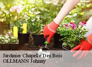 Jardinier chapelle-des-bois-25240 OLLMANN Johnny