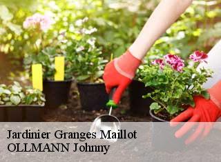 Jardinier granges-maillot-25270 OLLMANN Johnny