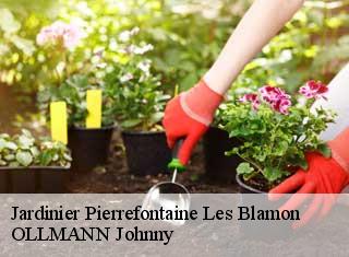 Jardinier  pierrefontaine-les-blamon-25310 OLLMANN Johnny 