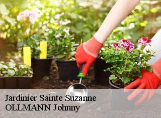 Jardinier sainte-suzanne-25630 OLLMANN Johnny