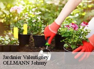 Jardinier  valentigney-25700 OLLMANN Johnny 