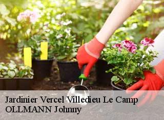 Jardinier vercel-villedieu-le-camp-25530 OLLMANN Johnny