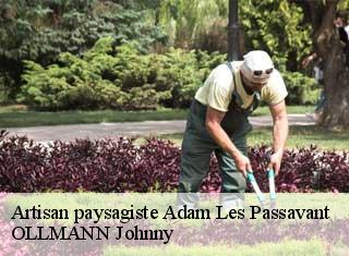 Artisan paysagiste  adam-les-passavant-25360 OLLMANN Johnny 