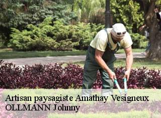 Artisan paysagiste  amathay-vesigneux-25330 OLLMANN Johnny 