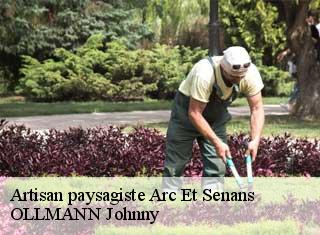 Artisan paysagiste  arc-et-senans-25610 OLLMANN Johnny 