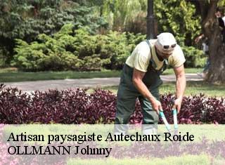 Artisan paysagiste  autechaux-roide-25150 OLLMANN Johnny 