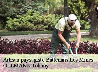 Artisan paysagiste  battenans-les-mines-25640 OLLMANN Johnny 