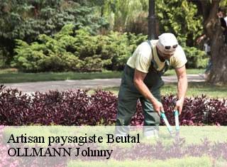 Artisan paysagiste  beutal-25250 OLLMANN Johnny 