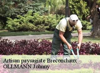 Artisan paysagiste breconchaux-25640 OLLMANN Johnny