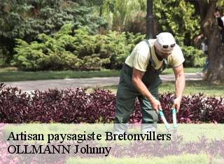 Artisan paysagiste  bretonvillers-25380 OLLMANN Johnny 