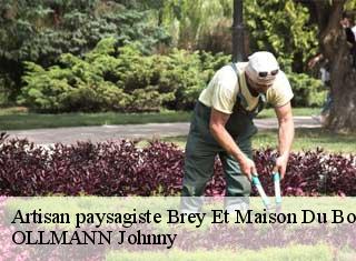 Artisan paysagiste  brey-et-maison-du-bois-25240 OLLMANN Johnny 