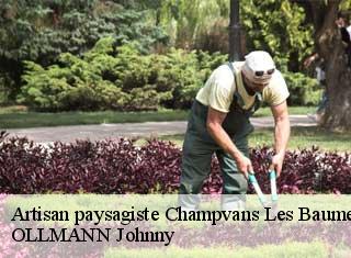 Artisan paysagiste  champvans-les-baume-25110 OLLMANN Johnny 