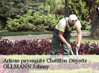 Artisan paysagiste  chatillon-guyotte-25640 OLLMANN Johnny 