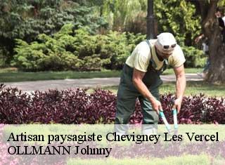 Artisan paysagiste  chevigney-les-vercel-25530 OLLMANN Johnny 