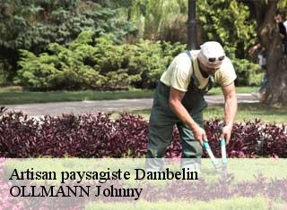 Artisan paysagiste  dambelin-25150 OLLMANN Johnny 