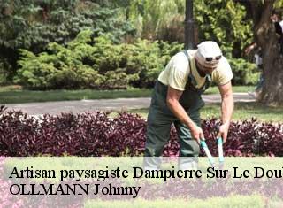 Artisan paysagiste dampierre-sur-le-doubs-25420 OLLMANN Johnny