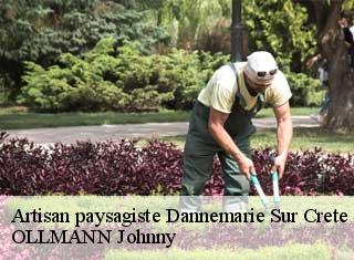 Artisan paysagiste  dannemarie-sur-crete-25410 OLLMANN Johnny 