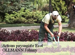Artisan paysagiste  ecot-25150 OLLMANN Johnny 