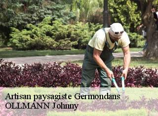 Artisan paysagiste  germondans-25640 OLLMANN Johnny 