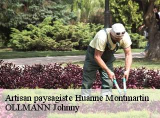 Artisan paysagiste huanne-montmartin-25680 OLLMANN Johnny