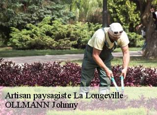 Artisan paysagiste  la-longeville-25650 OLLMANN Johnny 