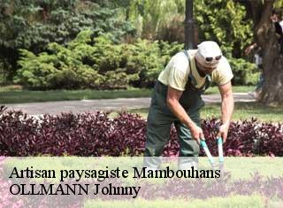Artisan paysagiste  mambouhans-25150 OLLMANN Johnny 