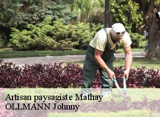 Artisan paysagiste  mathay-25700 OLLMANN Johnny 