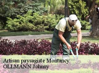 Artisan paysagiste  montancy-25190 OLLMANN Johnny 